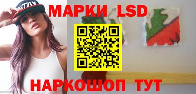 мдпв Кингисепп