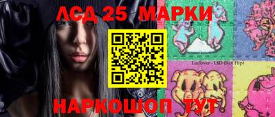 мдпв Кингисепп