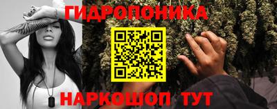 винт Кинель