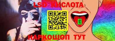 мдпв Кингисепп