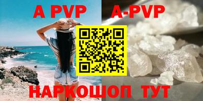 мдпв Кингисепп