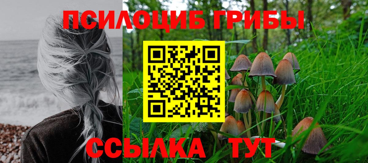 купить наркоту  Вход с VPN  Южно-Сахалинск  Галлюциногенные грибы прущие грибы  Галлюциногенные грибы мухоморы 